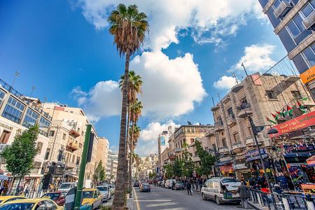 Amman: Private Panoramic Tour and Local Meal-Optional Wine Taste
