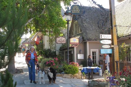 Guided 2-Hour Walking Tour in Carmel by the Sea