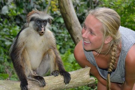 Private Tour to Jozani Forest Reserve Half-Day Guided Tour from Zanzibar