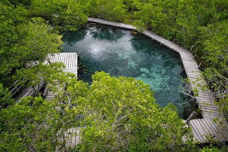 Boat Tour of Three Islands in Holbox with Transportation