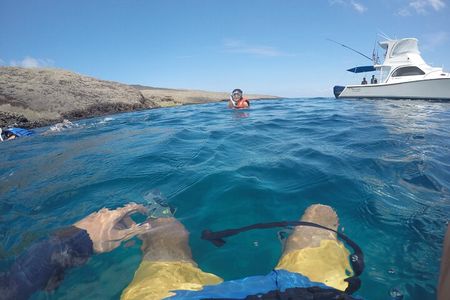 Tour to Tuneles & Cabo Rosa (Isabela Island)