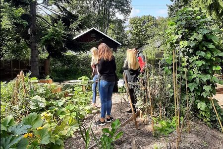 Warsaw Off the Beaten Path & Local Pastry