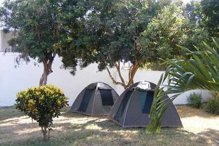 7-Day Private Camping Safari Tour in Kenya with Meals