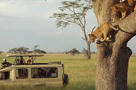 3 Days Safari to Serengeti National Park & Ngorongoro Crater in Tanzania