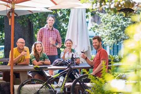 Private Cycling Tour of Constantia Winelands
