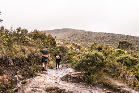 Chingaza National Park Day Tour from Bogotá: Andean Wilderness