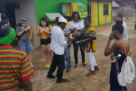 Jamaica Culture Tour: Culinary, Cultural, History and Dance