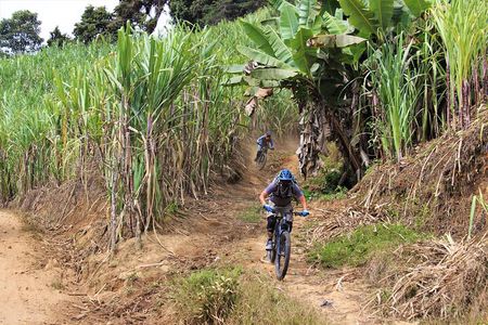 2 Days Mountain Biking Enduro in Hieleros and Mamarumi