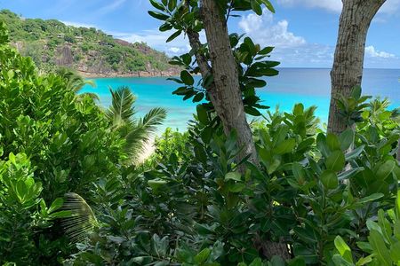 Full day (5-6 hours) island tour on Mahé with pick-up