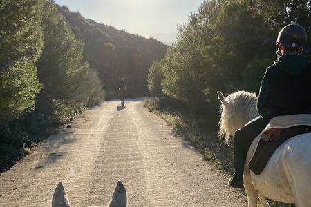 Malaga - guided horseback riding