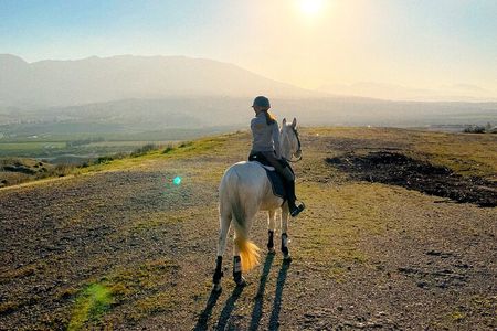 Malaga - guided horseback riding