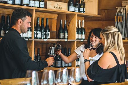 Queenstown Classic Wine Tour: 3 Winery Visits, Cave Tour & Cheese