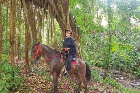 The Ultimate Dominican Horseback Riding Adventure