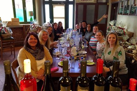 Tasting 10 + 1 CYPRUS WINES including transfers only from Larnaca