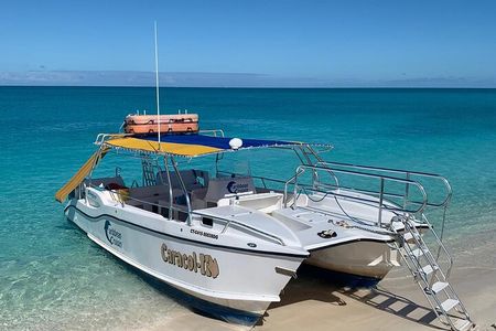 8HR Catch and Grill in Turks and Caicos Islands