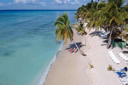 Saona Island Discovery