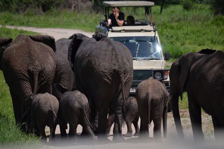 5 Days Private Budget Lodge Safari to Serengeti & Ngorongoro