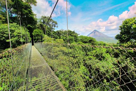 Combo Tour: Hanging Bridges + Thermal Spa in Arenal