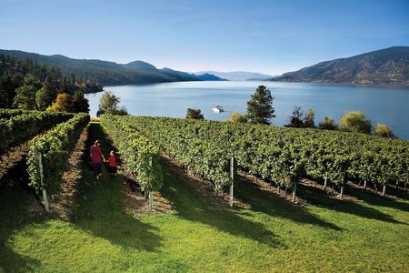 Kelowna South Slopes Wine Tour - 5 wineries on the tour