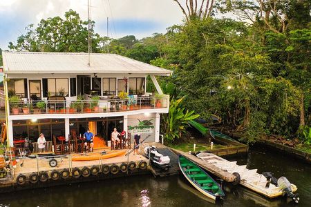 Total Tortuguero Canoe or Kayak+hike+NW(Tortugas from Jul-Oct)