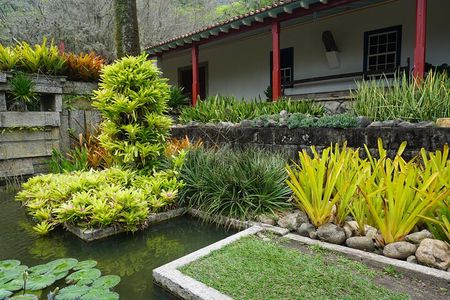 Private Half-Day Tour in Sítio Roberto Burle Marx