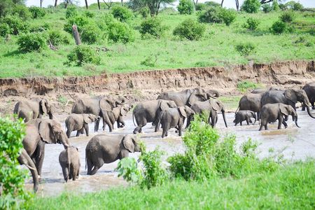 3 Days Serengeti & Ngorongoro Crater group safari