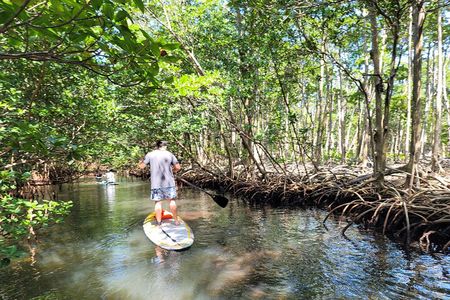 Nature Stand Up Paddle Boarding Experience in Miami 
