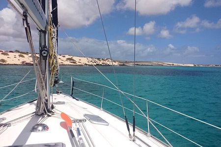 3-Hour Small-Group Sailing Tour around the Lobos Island