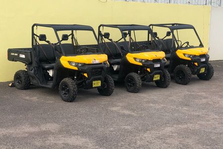 4-Hour Buggy Tour of New Providence (Inclusive of water & local deserts)