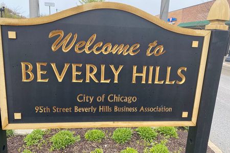 Small-Group Tour of Chicago Neighborhoods - North and South Side
