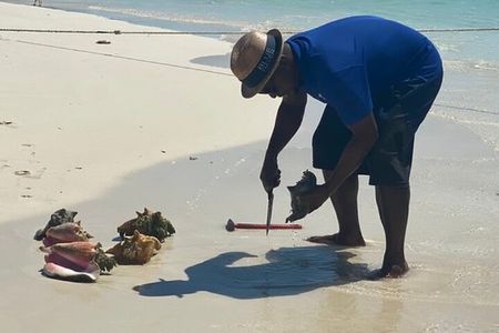 Seaside Scavenger Hunt 3hrs tour