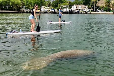 Saint Petersburg Paddle Board Tour 