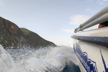 Half-Day Small-Group Boat Safari in Crete