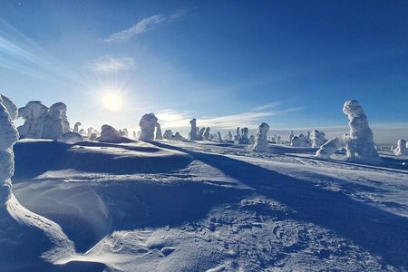 Riisitunturi National Park Snowshoeing Adventure