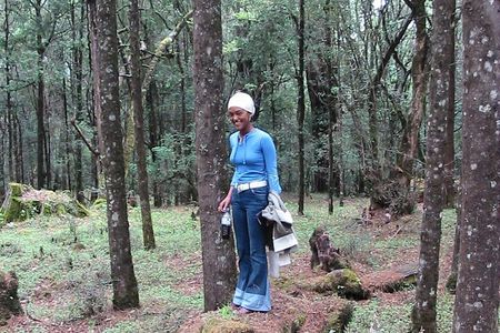 Private Menagesha Suba Forest Hiking and Sightseeing Tour