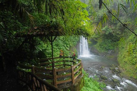 La Paz Waterfall Gardens and Tabacon Hot Springs Private Day Tour from San Jose 