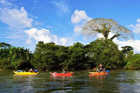 2-Day Kayaking Adventure in the Amazon