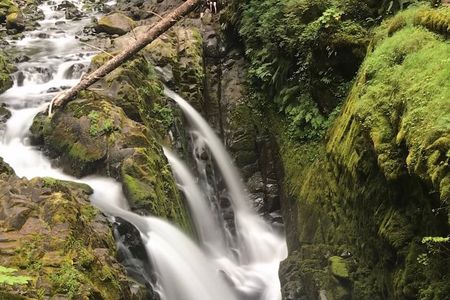 Private Olympic National Park Day Tour from Seattle
