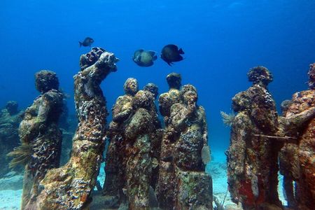  SPECIAL! Snorkel at MUSA - The Underwater Museum Reservation