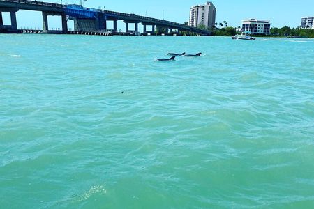 Dolphin Tiki Cruise around Fort Myers Beach