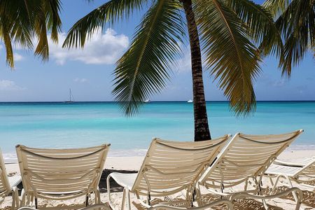Saona Island Full Day Tour