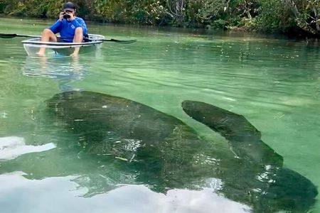 Clear Kayak Tours in Weeki Wachee
