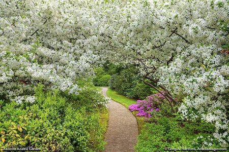 Acadia National Park, Fjord & Lobster Lunch