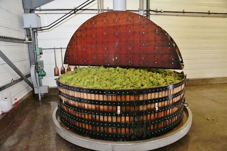 Champagne Guy De Chassey: Traditional Tour & Tasting