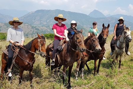 Private Horseback Riding Tour around Cattle Ranch from Medellin