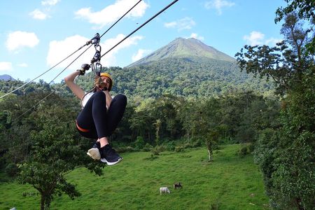 Zipline and Tarzang Swing Experience in San Carlos