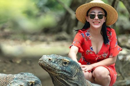 Daily Trip Highlight Komodo Archipelago by Speed Boat