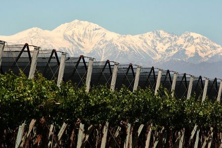 Olive oils, Gourmet products and Wines