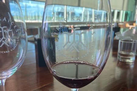Wine Route !, Vineyards, wine tasting and pairing