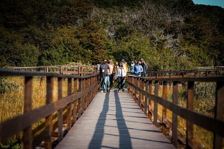 Half-Day Tierra del Fuego National Park